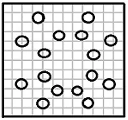 Option C figure