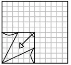 Option D figure