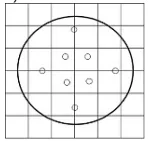 Option D figure