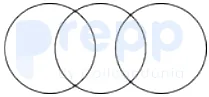Option D figure