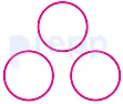 Option D figure