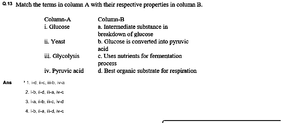 Question figure