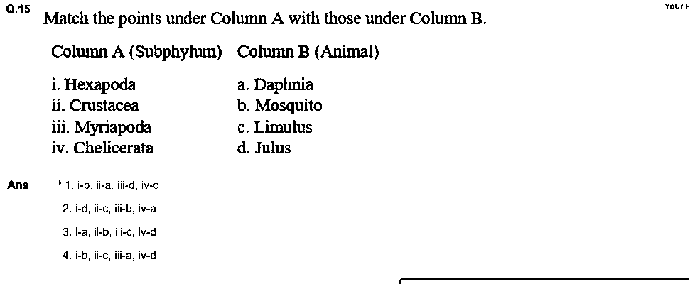 Question figure